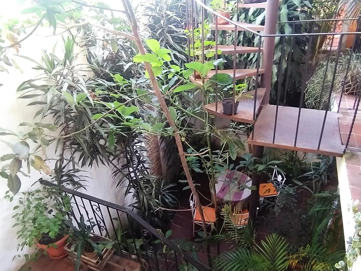 Jungle Chill location