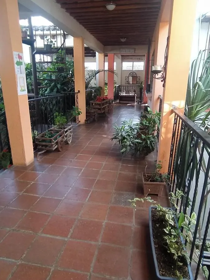 Jungle Chill Guatemala