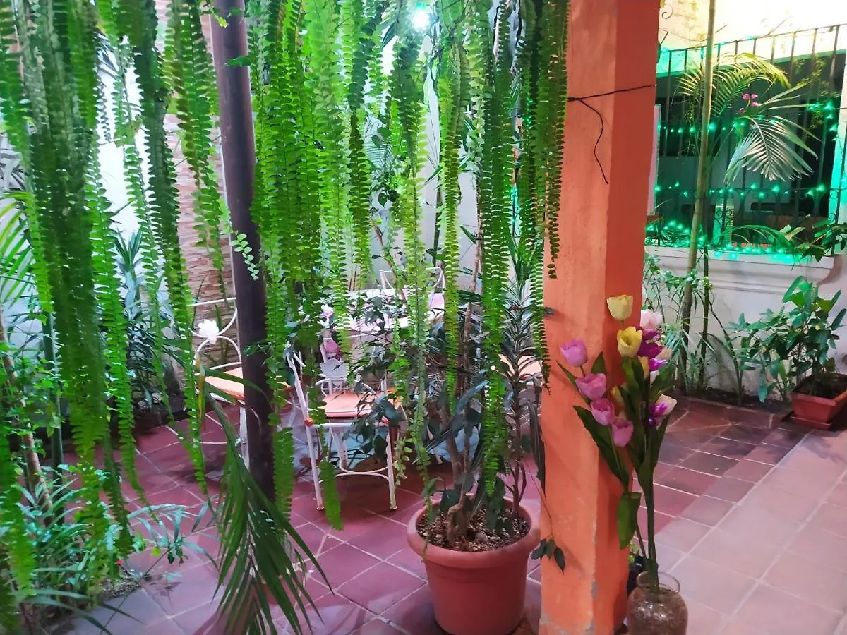 Jungle Chill Antigua