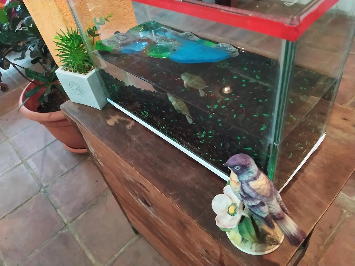 Privat bolig Jungle Chill